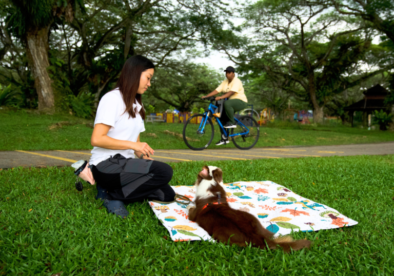 A Pet Coach SG chief behaviour specialist sitting on a picnic mat, rewarding a calm dog with a treat as it calmly watches a passing cyclist.