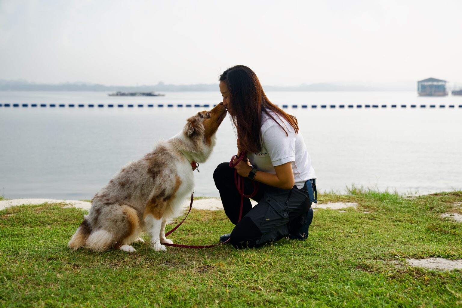 Chief Behavior Specialist Qiai teaching a dog to nose touch through positive reinforcement dog training to build a strong positive relationship