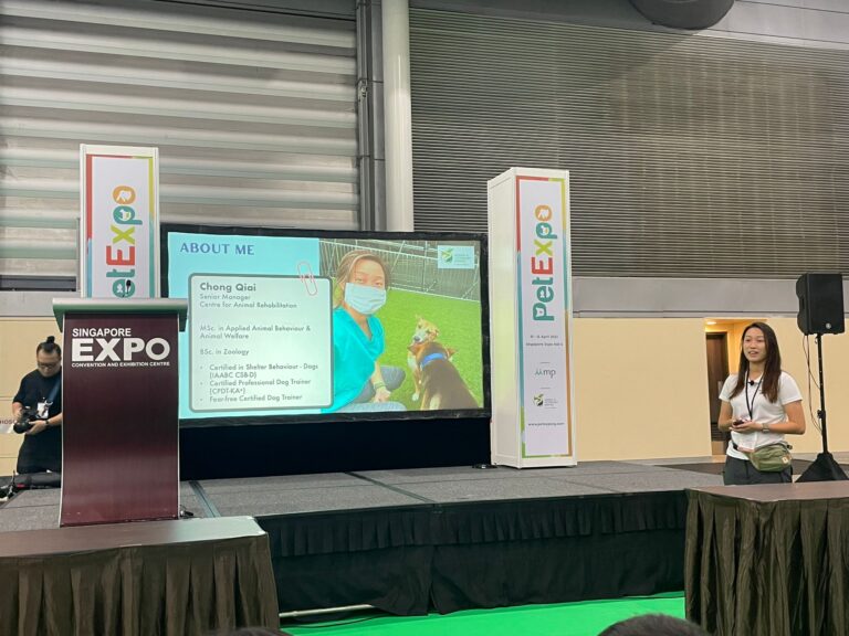 Qiai speaking at PetExpo 2022