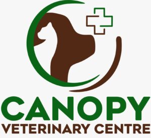 Pet Coach SG and Canopy Veterinary Centre Partnership