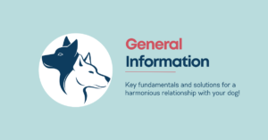 Feature Image saying "General Information"