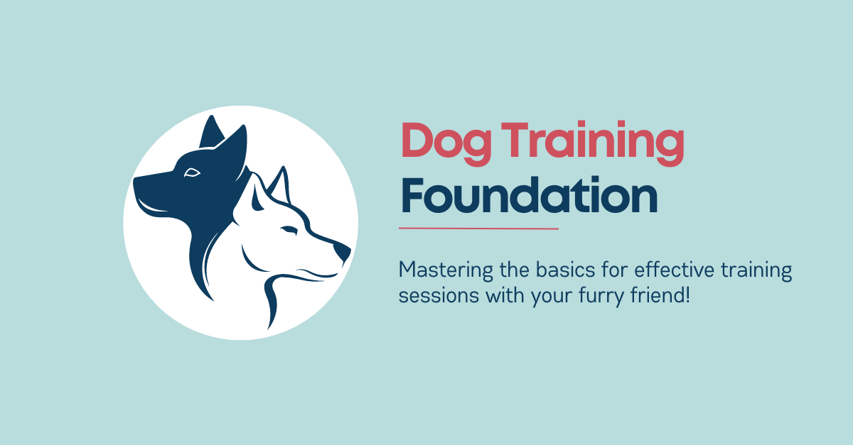 Feature image saying "Dog Training Foundation"